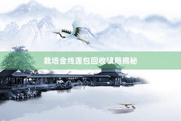 栽培金线莲包回收骗局揭秘